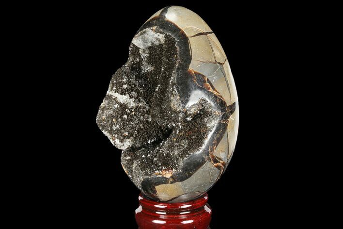 Septarian Dragon Egg Geode - Black Crystals #98830